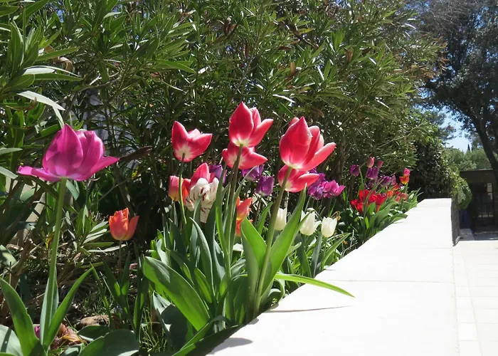 Le Castel بيت ضيافة نيم